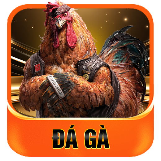 Đá gà
