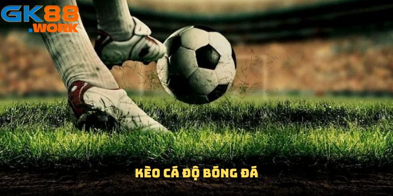 Kèo cá độ bóng đá